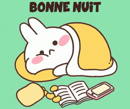 bonne nuit lapin